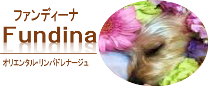 『Fundina（ファンディーナ）』は、リンパドレナージュでむくみ・肩こり・首コリ改善に導きます。